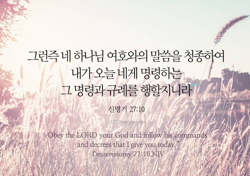 [잡담] 모든 성도들에게 크시고 위대하신 하나님의 복이 넘치기를💜 | 인스티즈