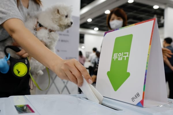 [정보/소식] 지금까지 뜬 오늘자 투표소 갱얼쥐들 모음 | 인스티즈