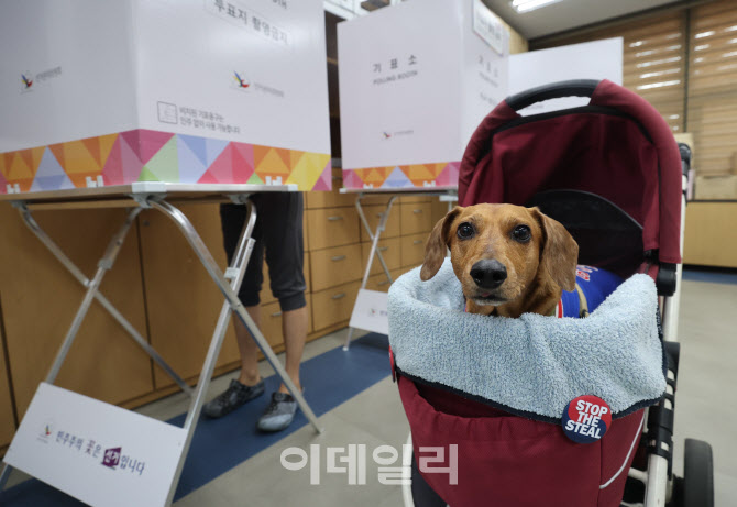 [정보/소식] 지금까지 뜬 오늘자 투표소 갱얼쥐들 모음 | 인스티즈