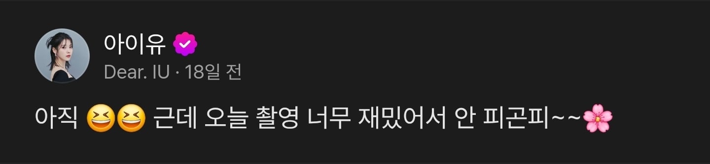[잡담] 아이유 팬들이랑 소통하는 거 봐 | 인스티즈