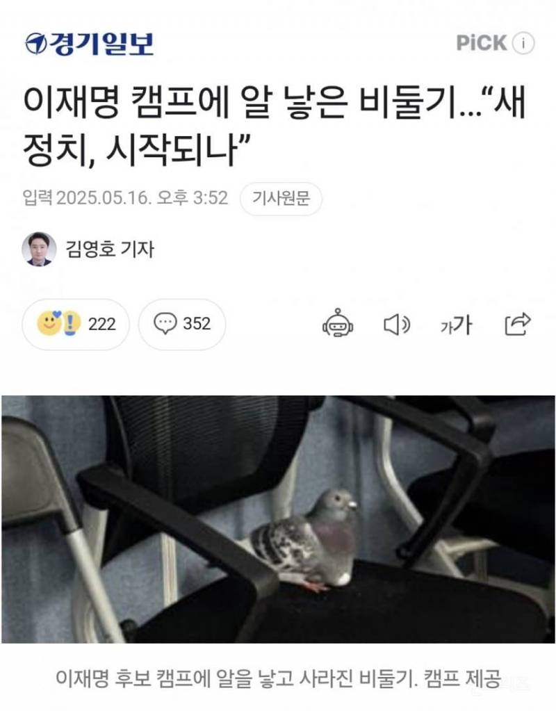 이재명 캠프에" 알 낳은 비둘기" 근황.jpg | 인스티즈
