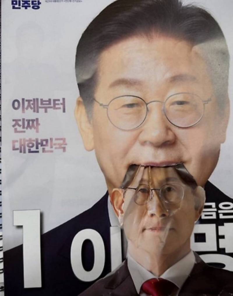 [잡담] 난 식인친칠라짤만 보면 저항없이 터짐 | 인스티즈
