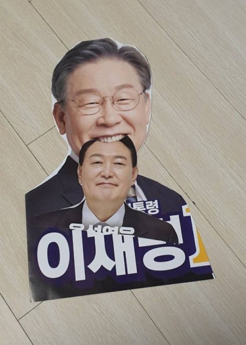 [잡담] 난 식인친칠라짤만 보면 저항없이 터짐 | 인스티즈