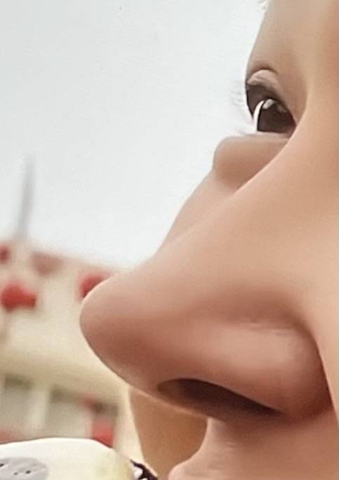 [잡담] 이런 코 너무 무서움…… | 인스티즈
