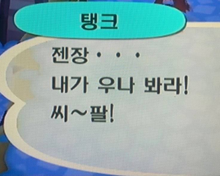 [잡담] 블로그 짤 공유할사람(사진많음주의) | 인스티즈