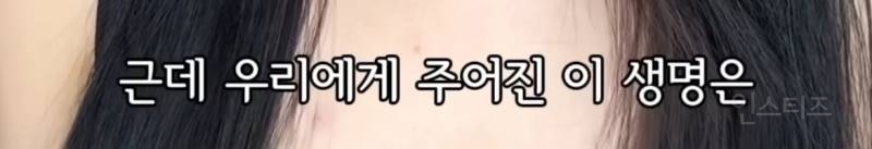 어느 인플루언서가 말하는 시간의 가치 | 인스티즈