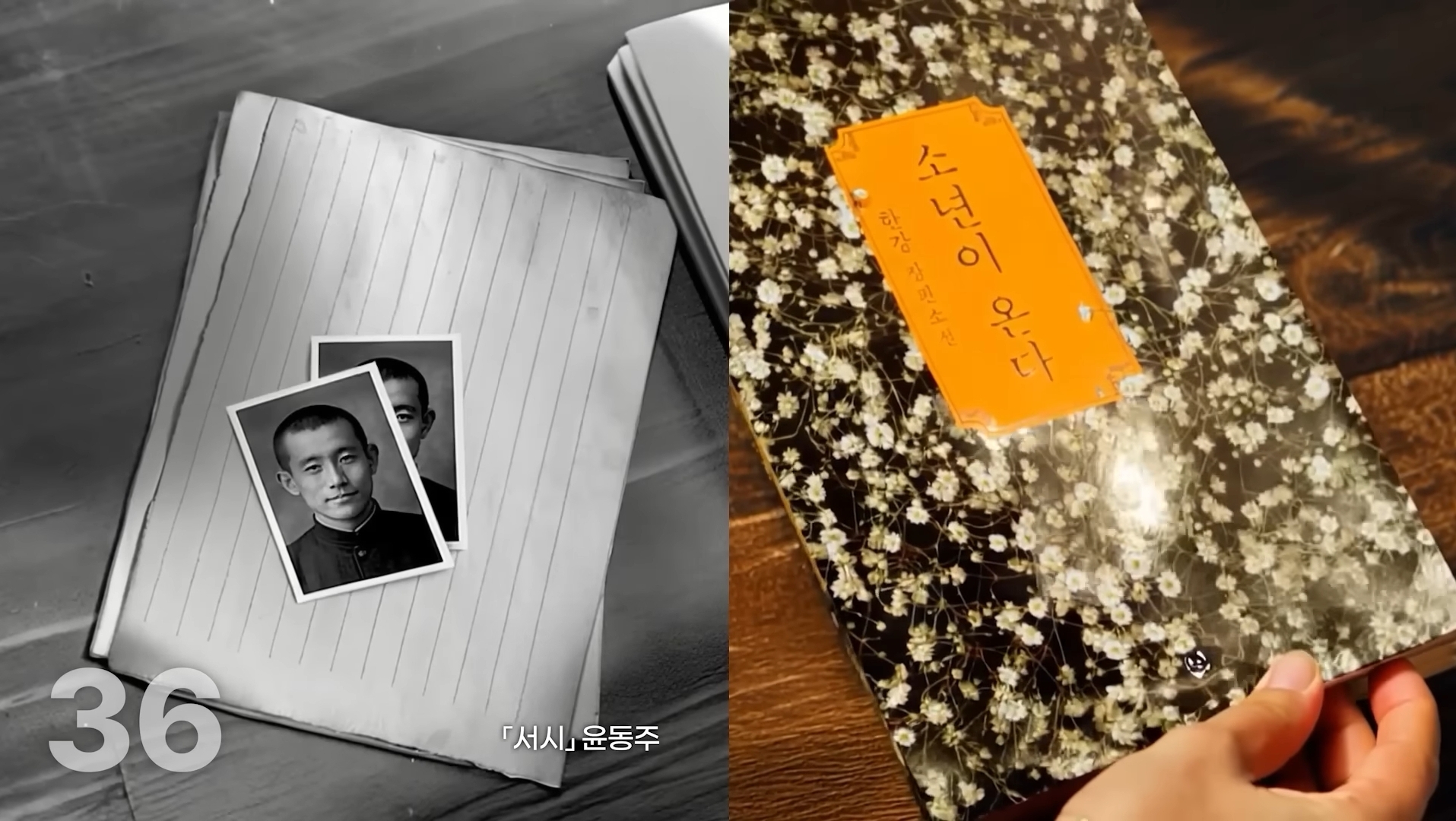 [잡담] 개표 영상 라인업 - 방탄, 봉준호, 한강, 김예지 | 인스티즈