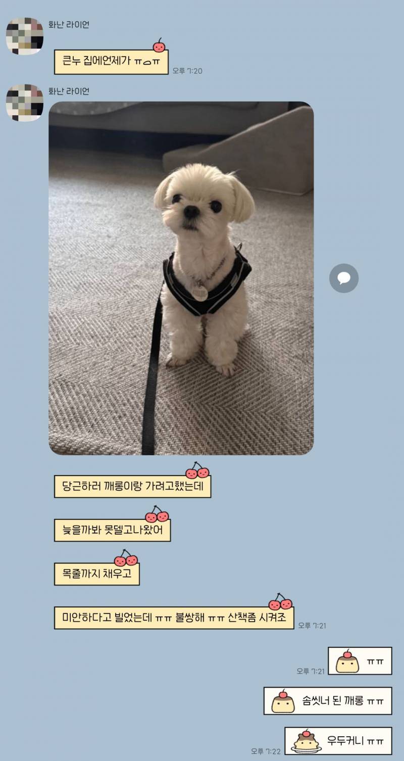 [잡담] 산책을 뺏겼다는 걸 믿을 수 없는 우리 강아지 좀 볼래? ㅠㅠㅠㅠㅠ | 인스티즈