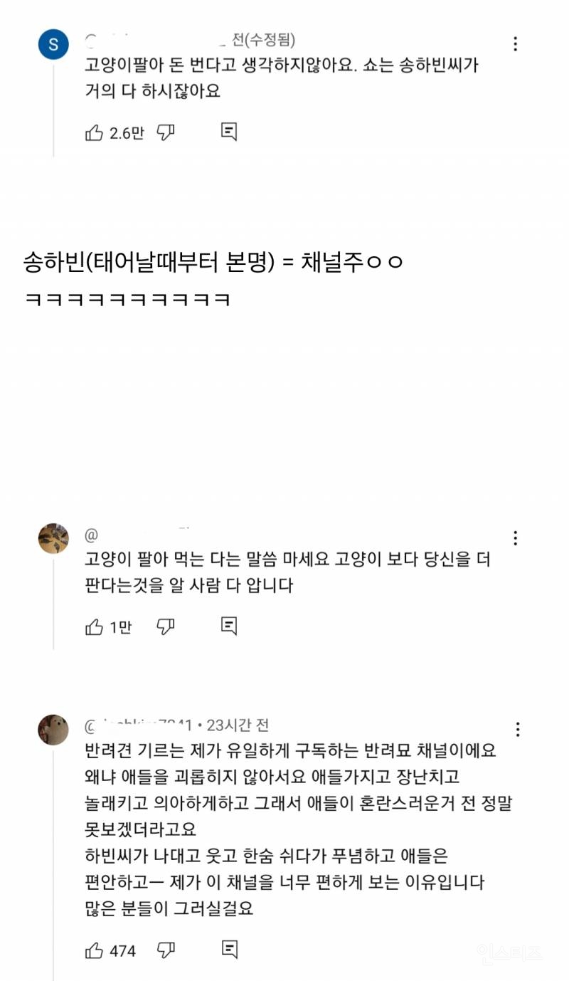 고양이 팔아 돈 번다는 얘기에 어느 구독자가 단 댓글 .jpg | 인스티즈