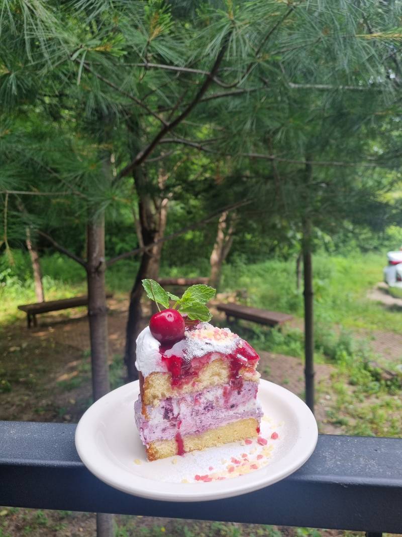 [잡담] 조기퇴근+예쁜 케이크+꽃차+숲 경치+야외테이블 | 인스티즈