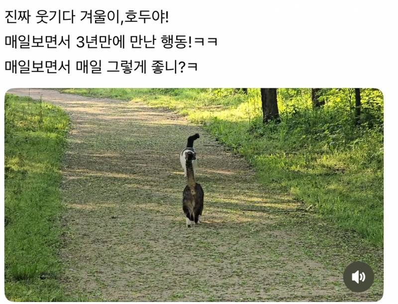 [잡담] 이거 나만 이해 못하는거야? | 인스티즈