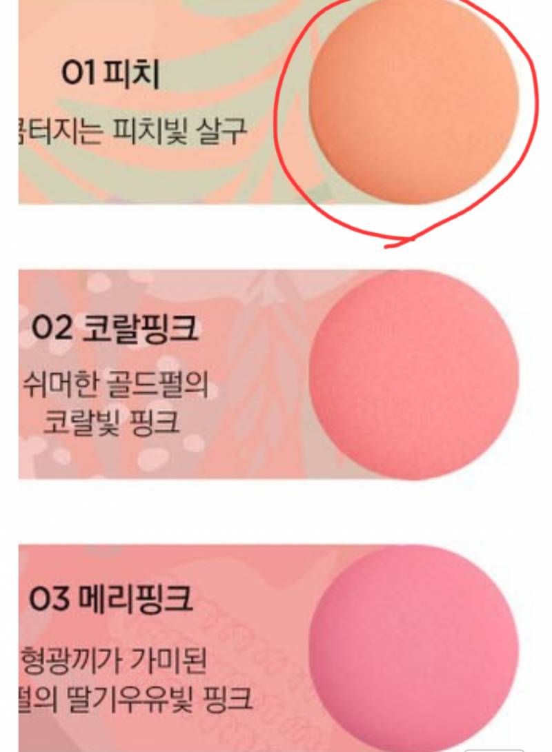 [잡담] 블러셔를 샀는데 이게 이색이 맞아? | 인스티즈