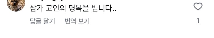 [잡담] 다슈 모델 사망했다는 얘기가 왜나왔냐면 | 인스티즈