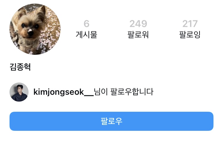 [잡담] 다슈 모델 사망했다는 얘기가 왜나왔냐면 | 인스티즈
