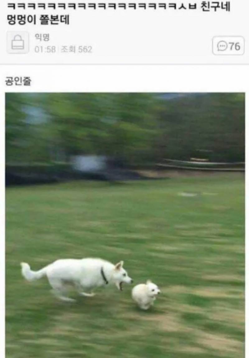[잡담] 블로그 짤 공유할사람(사진많음주의) | 인스티즈