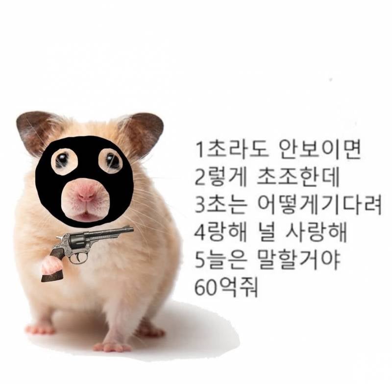 [잡담] 블로그 짤 공유할사람(사진많음주의) | 인스티즈