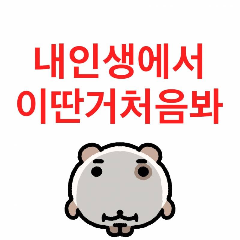 [잡담] 블로그 짤 공유할사람(사진많음주의) | 인스티즈