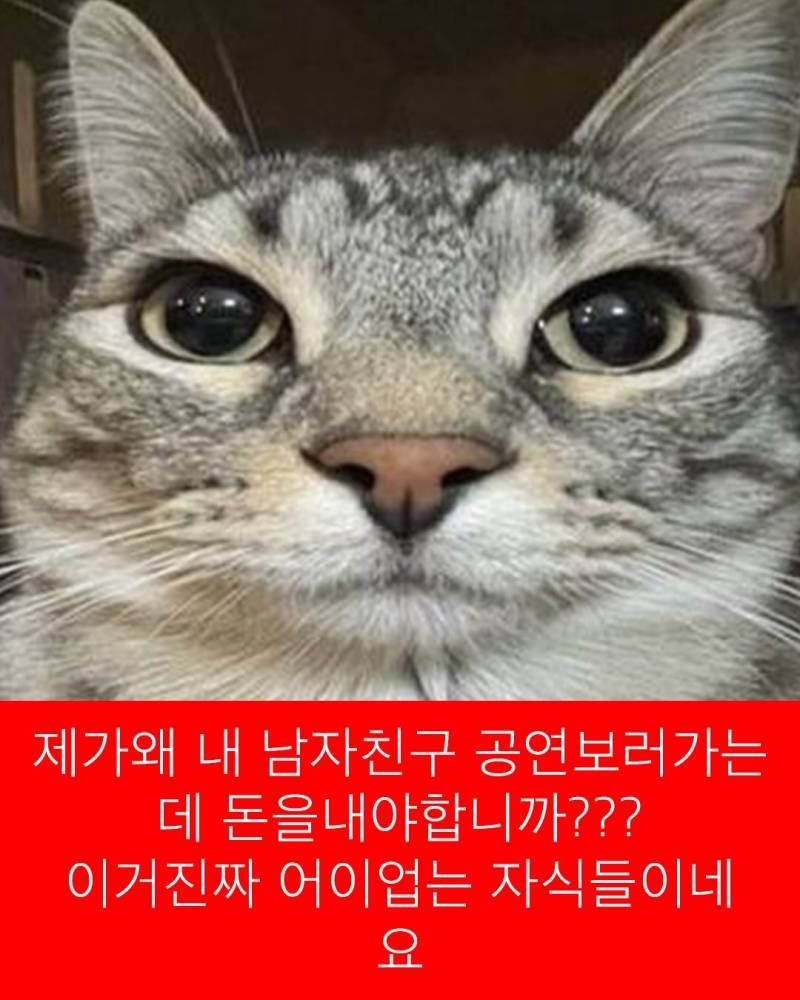 [잡담] 블로그 짤 공유할사람(사진많음주의) | 인스티즈