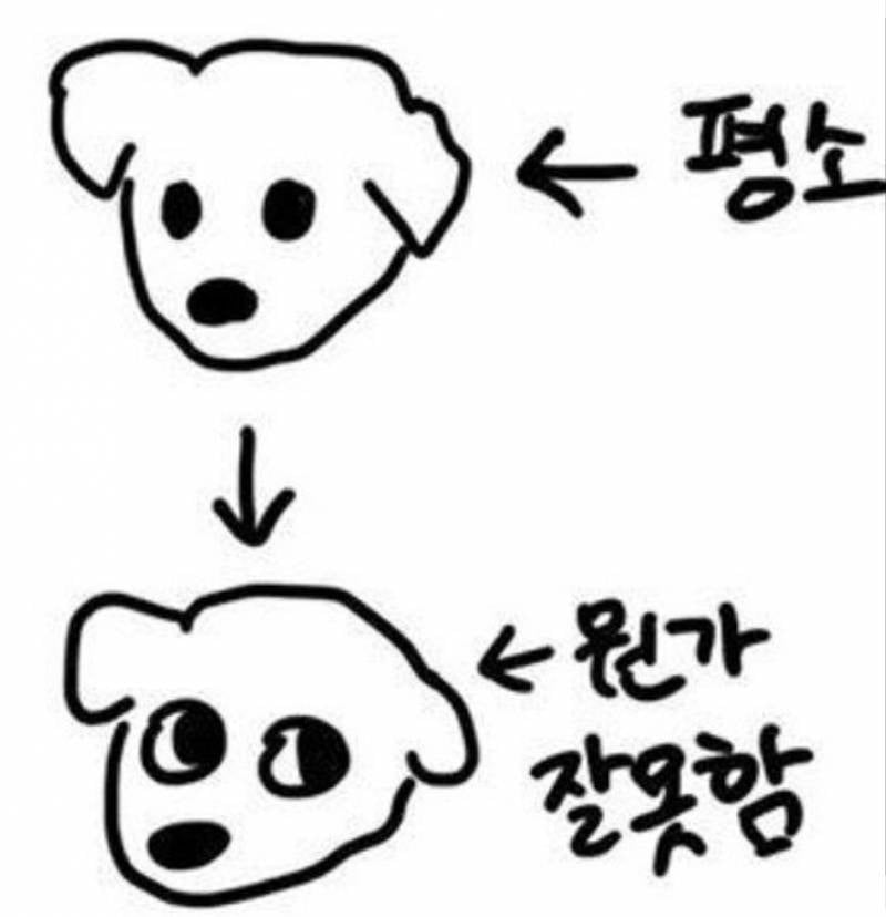 [잡담] 블로그 짤 공유할사람(사진많음주의) | 인스티즈
