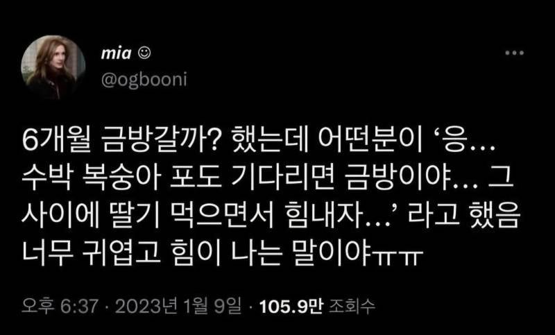 [잡담] 블로그 짤 공유할사람(사진많음주의) | 인스티즈