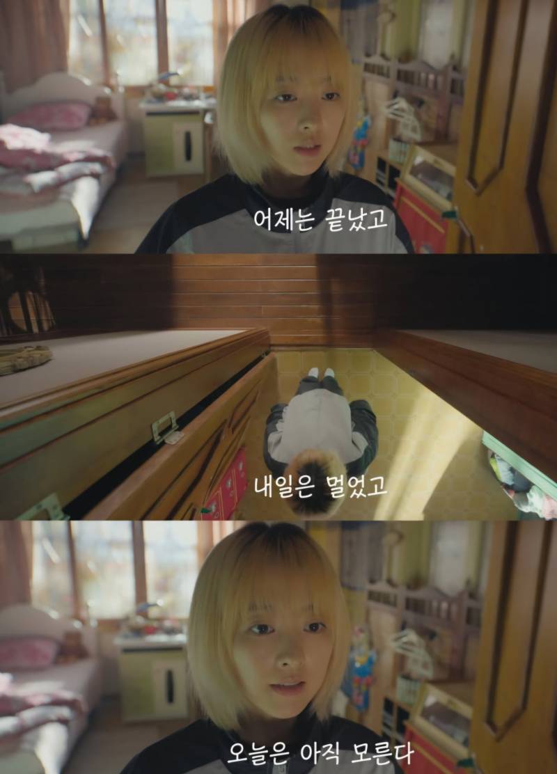 [잡담] 블로그 짤 공유할사람(사진많음주의) | 인스티즈