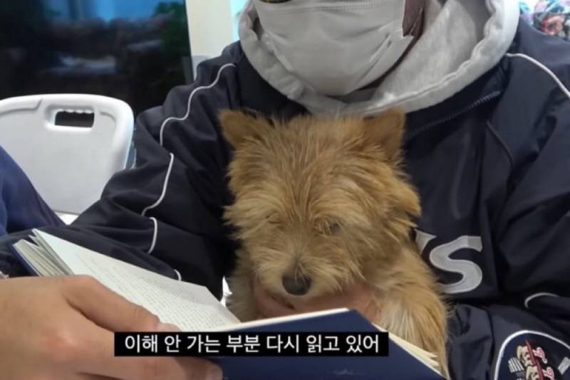 [잡담] 블로그 짤 공유할사람(사진많음주의) | 인스티즈