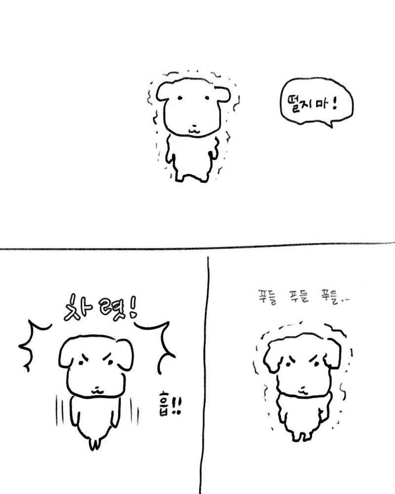 [잡담] 블로그 짤 공유할사람(사진많음주의) | 인스티즈
