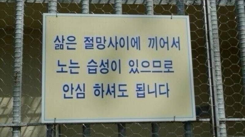 [잡담] 블로그 짤 공유할사람(사진많음주의) | 인스티즈