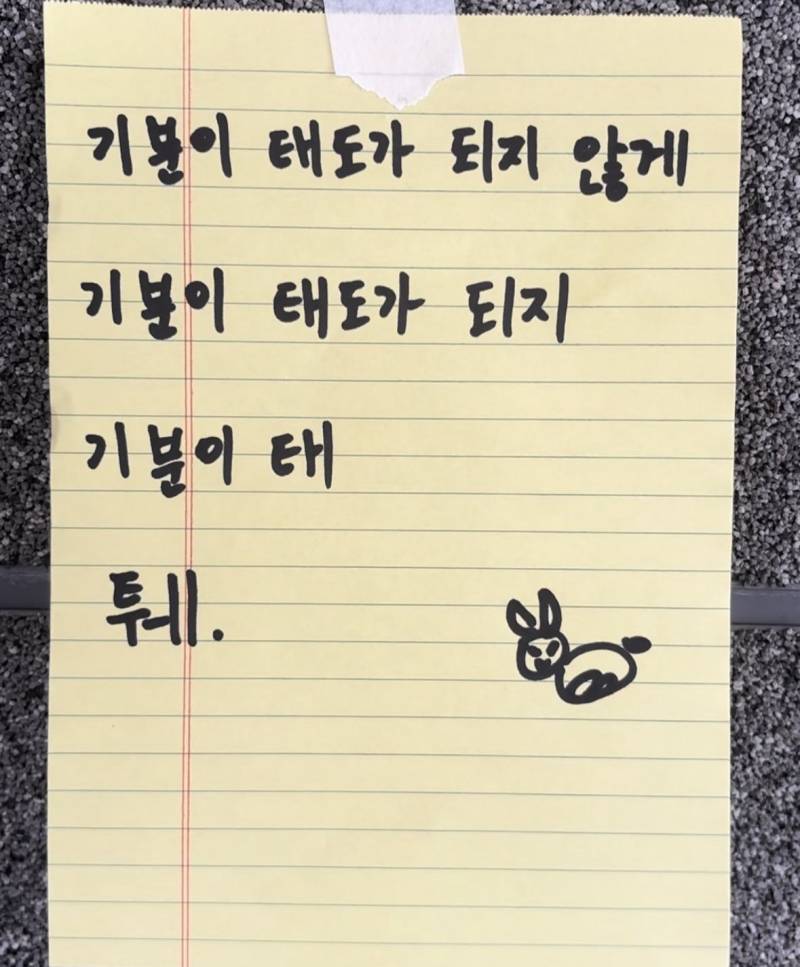 [잡담] 블로그 짤 공유할사람(사진많음주의) | 인스티즈