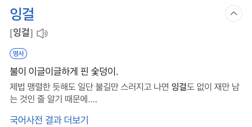 [잡담] 라이즈 잉걸이 이 뜻 맞아? | 인스티즈