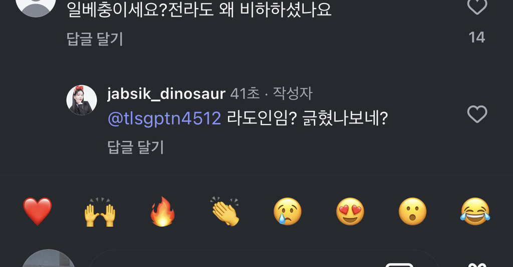 [잡담] 유튜버 잡식공룡 사과문 | 인스티즈