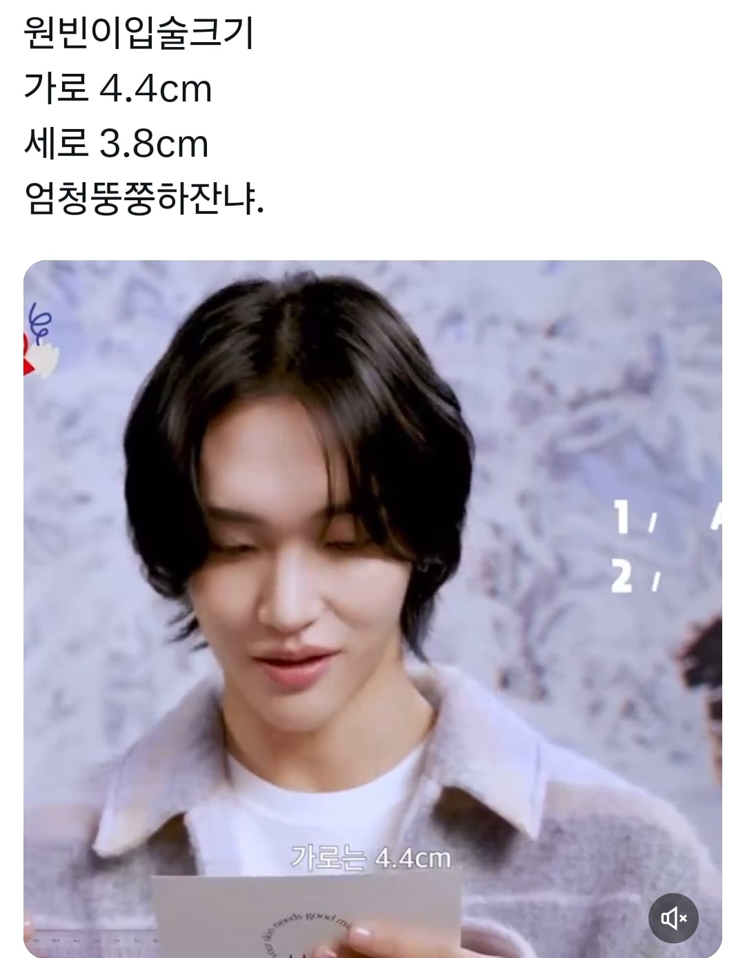 [잡담] 라이즈 원빈 목굵기랑 입술크기는 다시봐도 반전이다 | 인스티즈