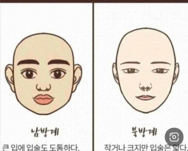 [잡담] 북방계 미인이 좋음 남방계 미인이 좋음? | 인스티즈