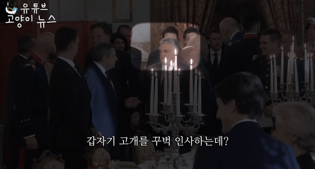 저혈압 완치되는 외교 수준...jpg | 인스티즈