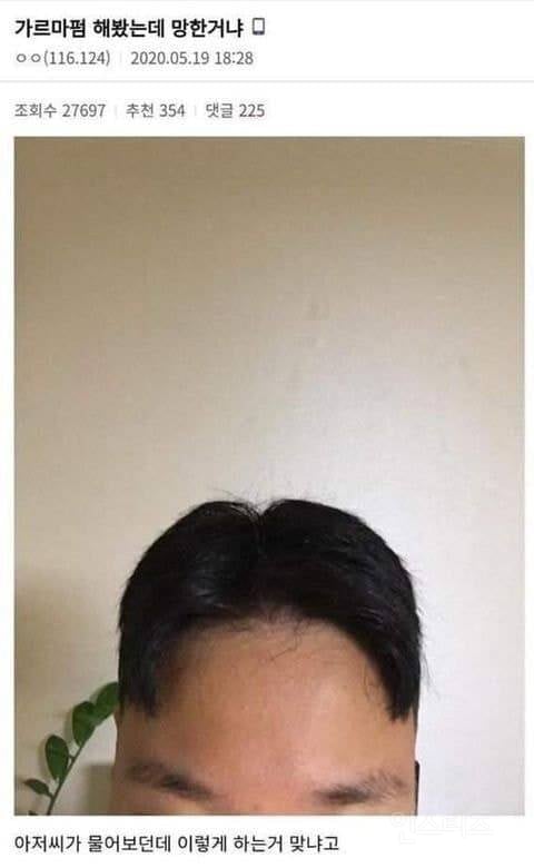 망한 머리 모음 | 인스티즈