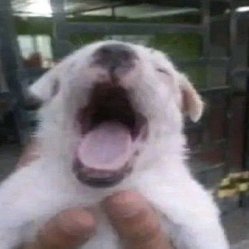 [잡담] 공주님들 나 무서워 | 인스티즈