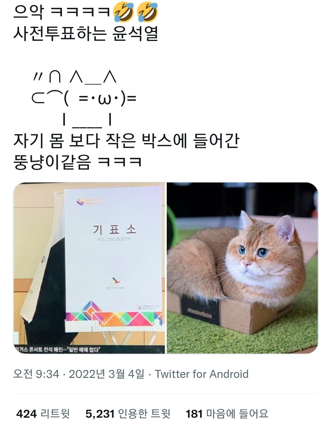 [잡담] 대통령 모에화는 굥한테 뚱냥이라 한게 모에화고 | 인스티즈