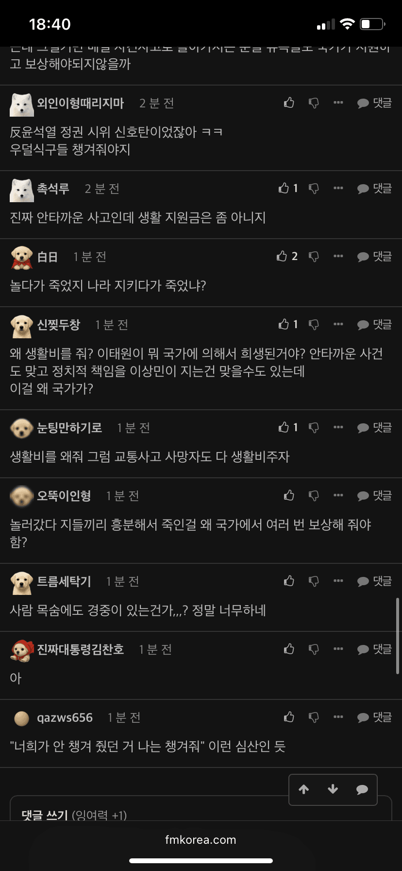 [마플] 이태원참사 지원금 국민들 반응.. | 인스티즈