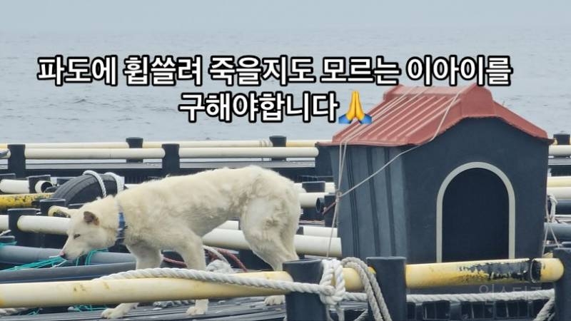 현재 스레드에서 난리난 글....jpg | 인스티즈