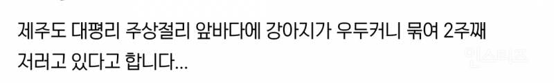 현재 스레드에서 난리난 글....jpg | 인스티즈