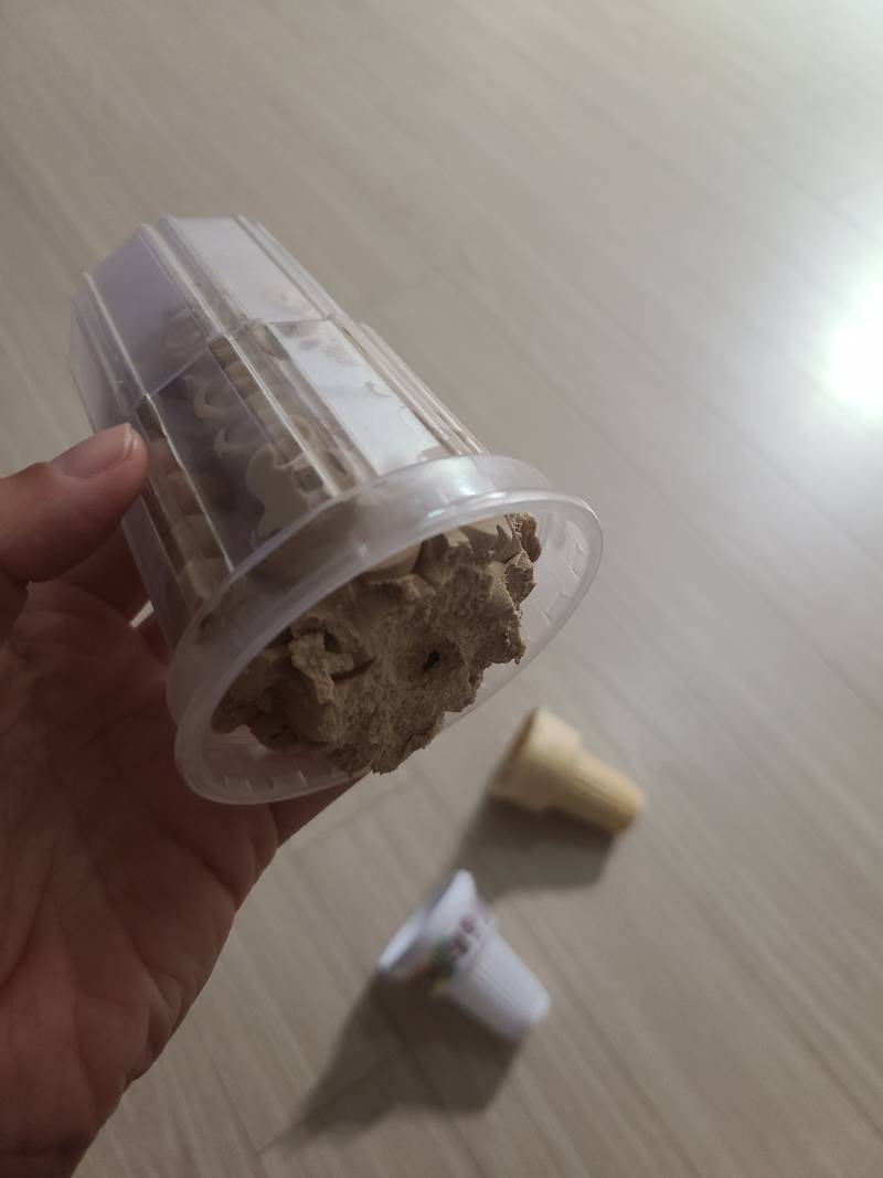 [잡담] 아놔 빵빠레 왜 이러는데 진짜 | 인스티즈