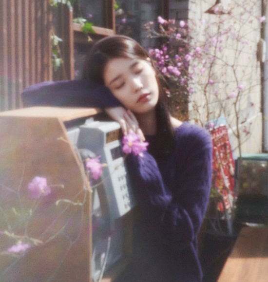 [정보/소식] 뉴발란스, 아이유 '꽃갈피 셋' 발매 기념 한정판 티셔츠 출시 | 인스티즈