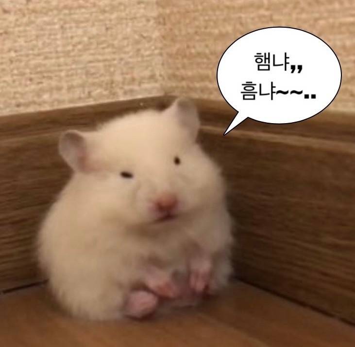 [잡담] 아빠가 갑자기 몸이 안좋아지셔서 눈물만 나 | 인스티즈