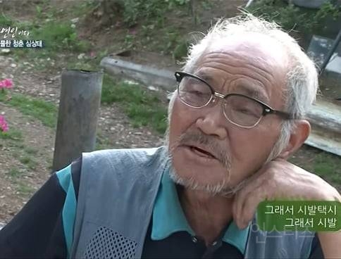젊었을 적 택시를 몰았던 자연인 | 인스티즈