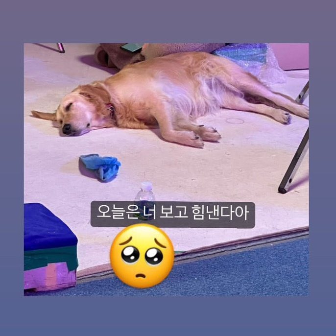 [잡담] 마크는 ㄹㅇ 인스스 말투 재능의 영역임 | 인스티즈