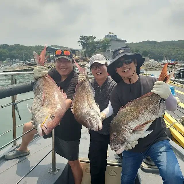 [잡담] 6개월동안 대국민 신경안정제였던 유시민 작가 근황 | 인스티즈