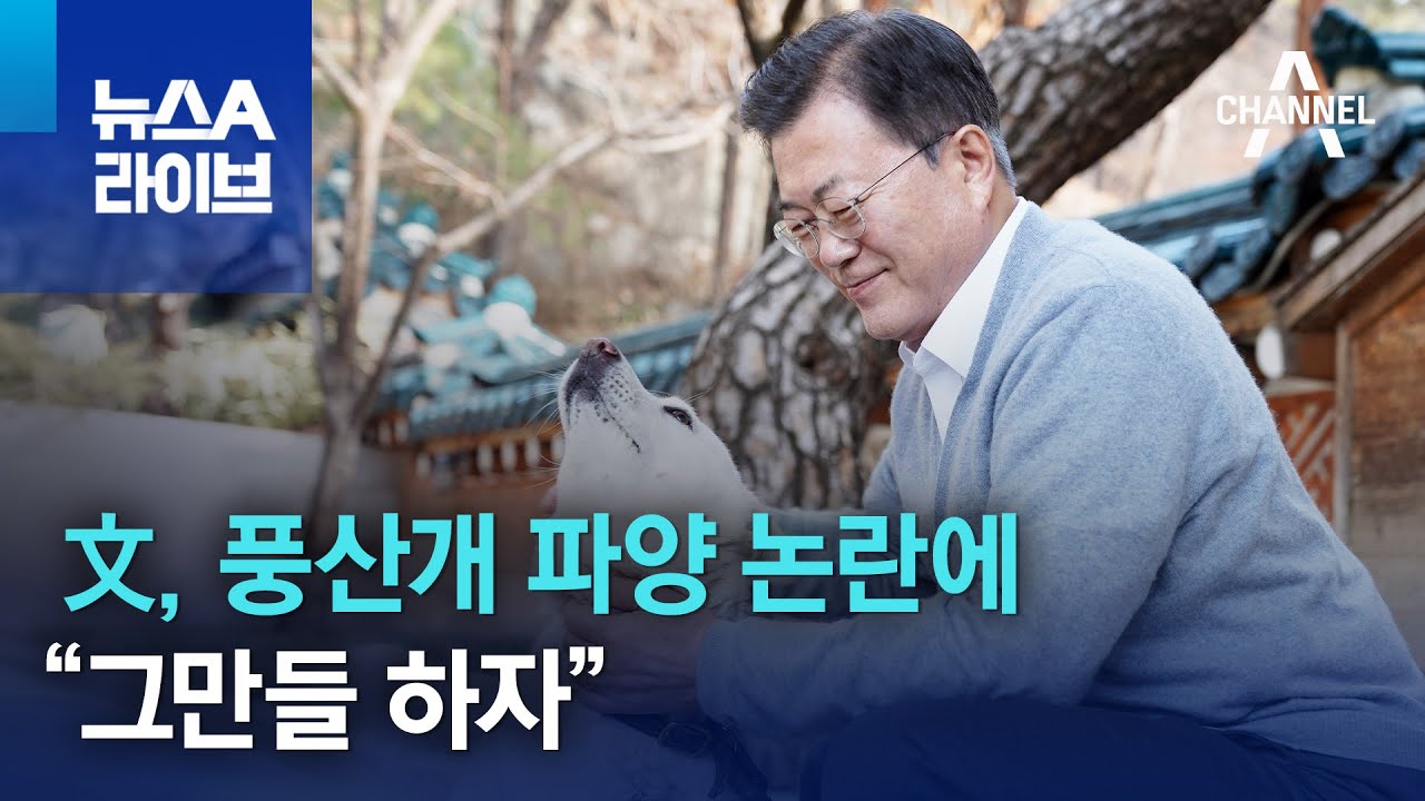 [마플] 문재인 애완견 관련해선 이게 제일 역겨웠음 | 인스티즈