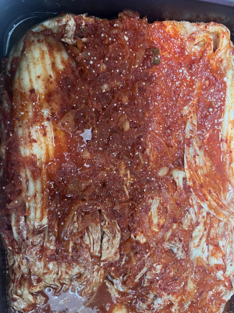 [잡담] 김치에 곰팡아 폈어.. 먹어도 돼?? | 인스티즈