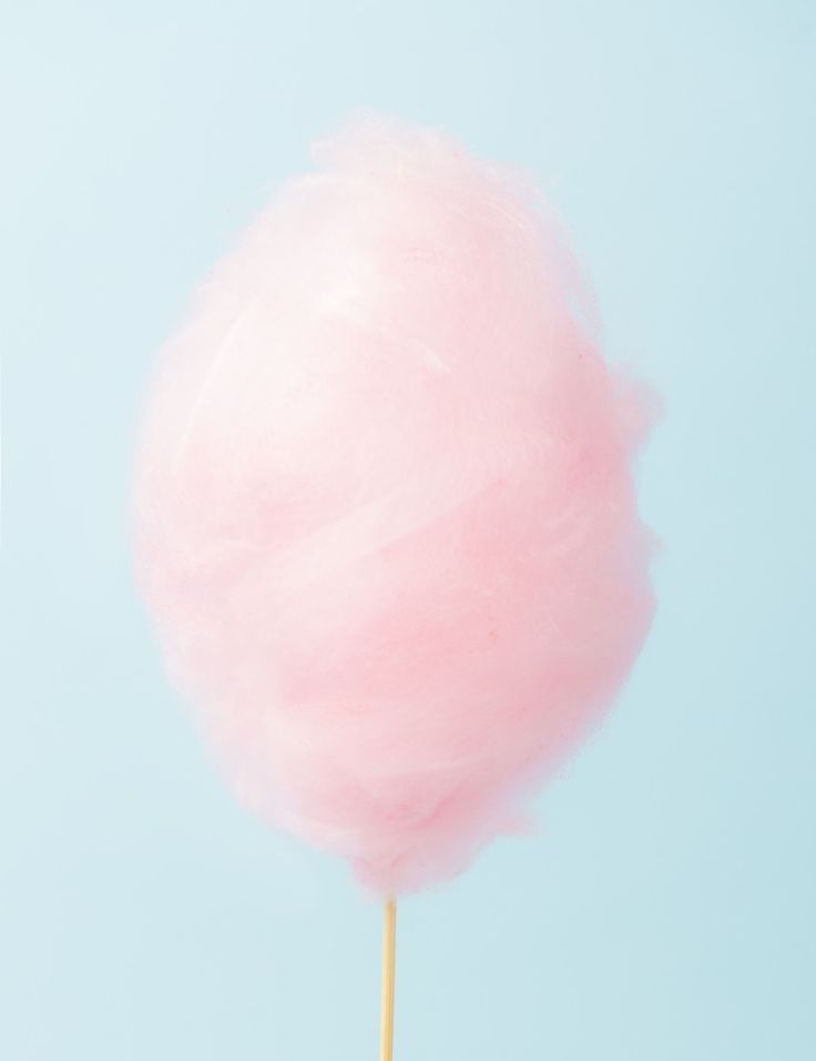 [잡담] 원빈이 세상 뽀용뽀용하고 분홍 분홍 하네 🎀 | 인스티즈