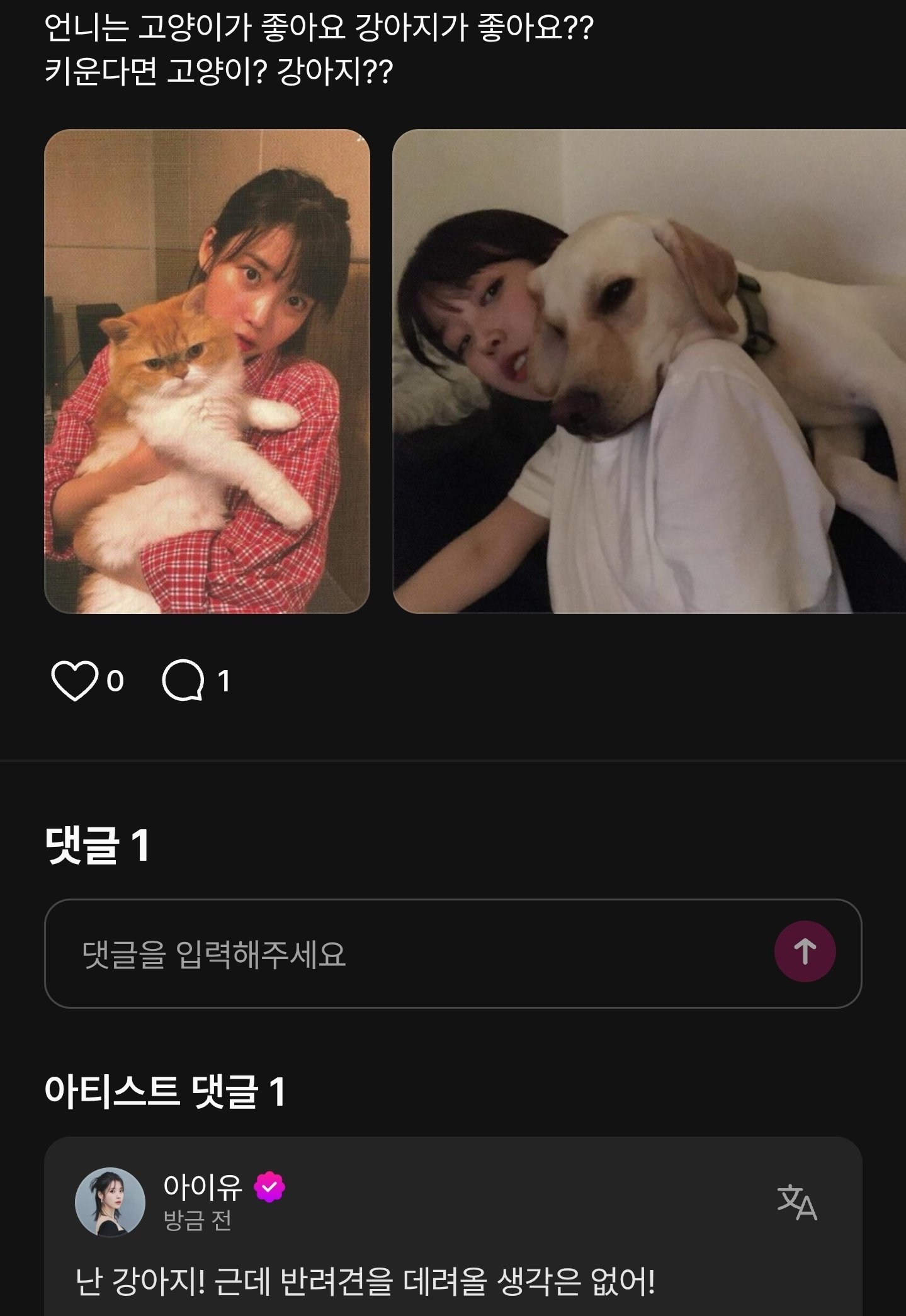 [마플] 아이유 반려견 데려올 생각 없다는데 이유가 뭘까 | 인스티즈